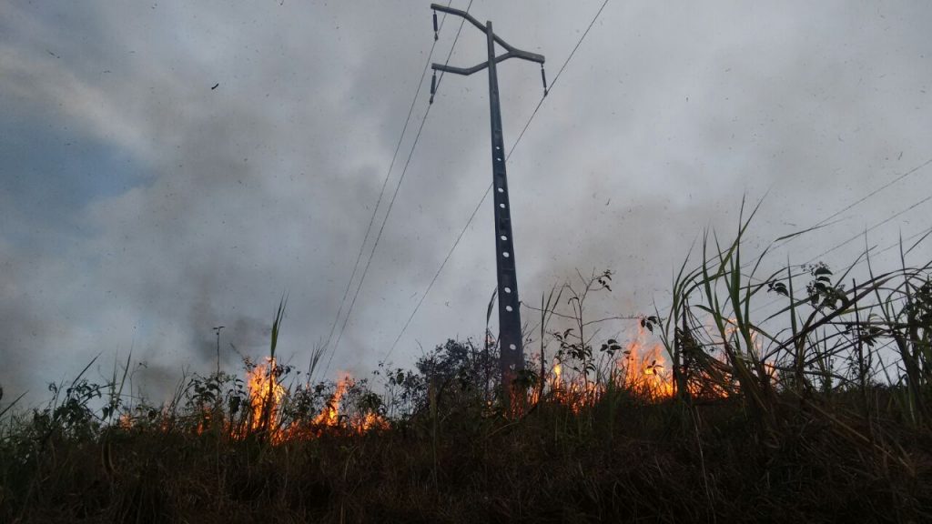 Queimadas no Piauí - Foto: Divulgação/ Equatorial do Piauí