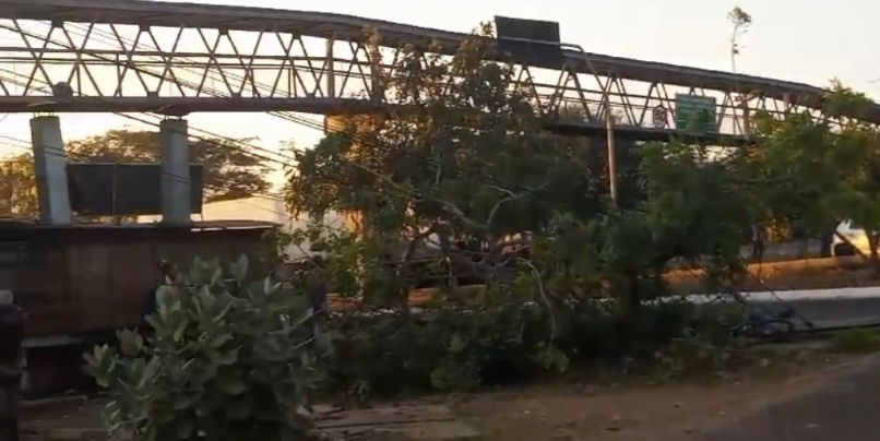 Caminhão derrubar porte em Teresina- Foto: Reprodução