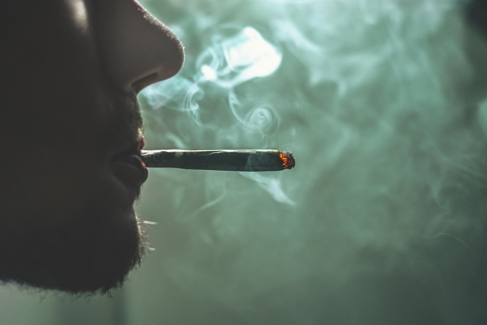 Fumando - Foto: GRAS GRÜN na Unsplash